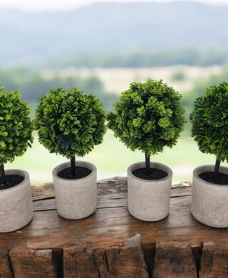 עץ כדור+כלי 24 סמ. עץ כדור+כלי 24 סמ.