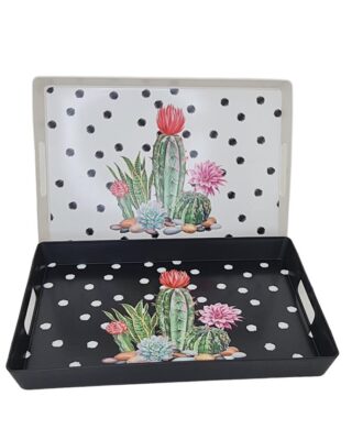 מגש מלבני קקטוסים 4*24*34