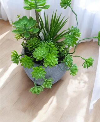 עציץ צמח 28 סמ. עציץ צמח 28 סמ.