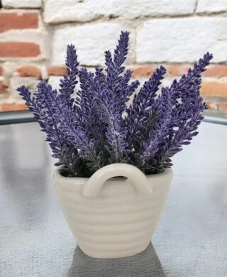 צמח לבנדר+תיק קרמיקה 18 סמ.