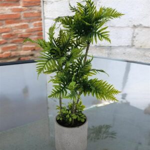 צמח+כלי קרמיקה 61 סמ.