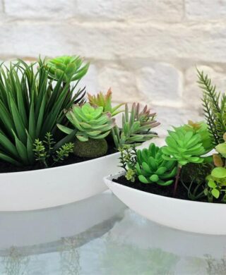 סוקולנטים+סירה 28*19