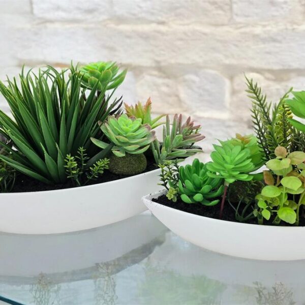 סוקולנטים+סירה 28*19