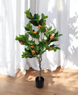 עץ תפוזים 120 סמ.