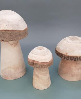 "פטריה" עץ מגולף 14*12*12