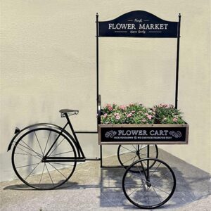 אופניים עם עגלת פרחים 165*60*155