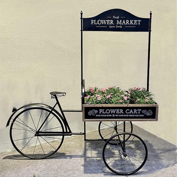 אופניים עם עגלת פרחים 165*60*155