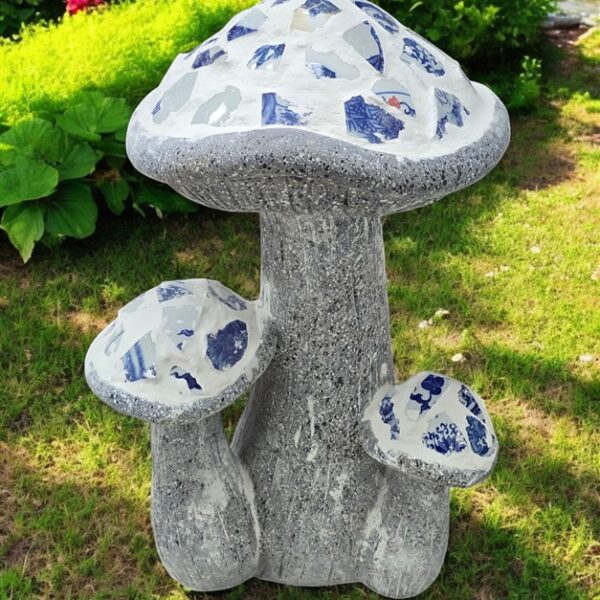 פיטריות פסיפס 48*28*33