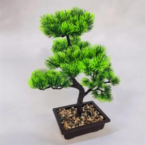 עץ בונזאי+כלי מלבני 40 סמ.
