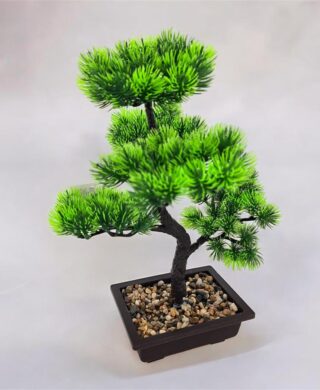 עץ בונזאי+כלי מלבני 40 סמ.