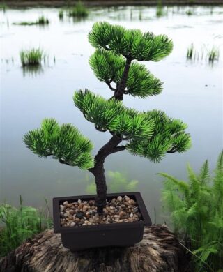 עץ בונזאי+כלי מלבני 40 סמ.