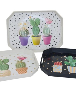 מגש מתומן קקטוסים 27*37 מגש מתומן קקטוסים 27*37