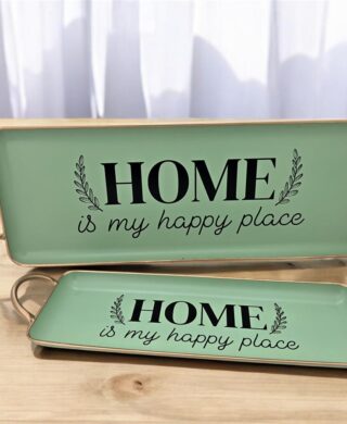 מגש מתכת ירוק 13*42 מגש מתכת ירוק 13*42