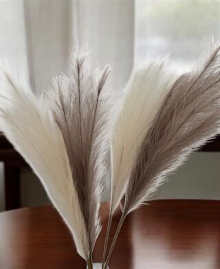 5יח' ענף נוצות כהה 75 סמ.