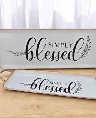 מגש מתכת לבן 13*42