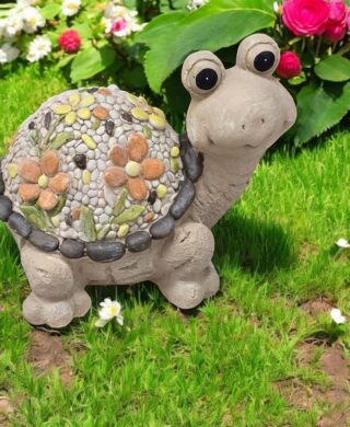 צב 24*22*32 צב 24*22*32