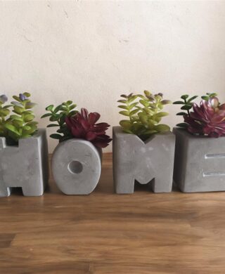 סט 4 HOME + סוקולנטים