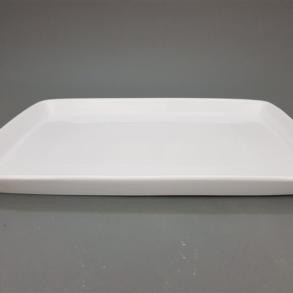 מגש מלבני 4*31*48