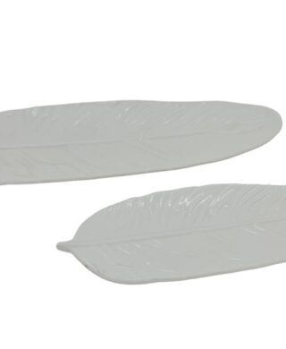 עלה 2.5*9.5*26 עלה 2.5*9.5*26