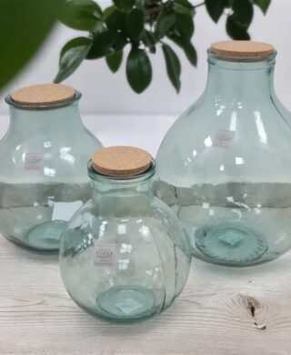 TERRARIUM + פקק שעם 46*37 25L.