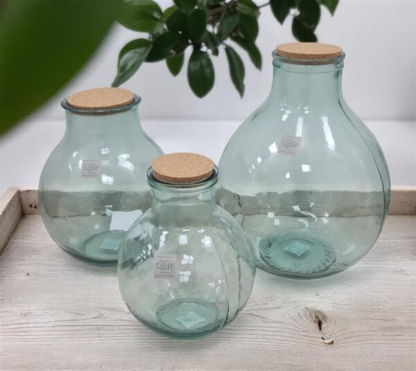 TERRARIUM + פקק שעם 46*37 25L.