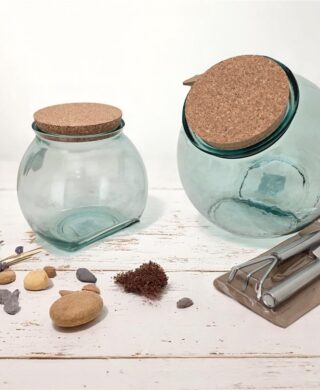 TERRARIUM CARAMELO אלחסוני 2.5 ליטר