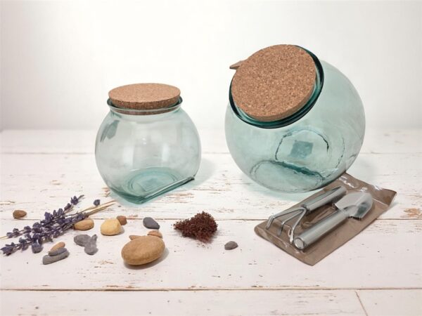 TERRARIUM CARAMELO אלחסוני 2.5 ליטר