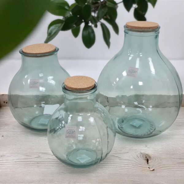 TERRARIUM + פקק שעם 31*24 8L. TERRARIUM + פקק שעם 31*24 8L.