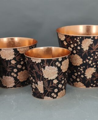 בית עציץ 18*22