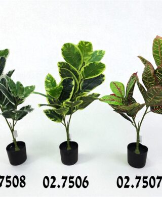 צמח 24 עלים 80 סמ.