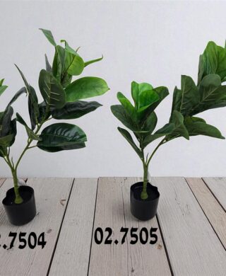 צמח 24 עלים 80 סמ.