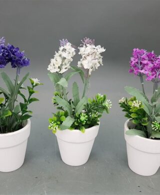 X-1 עציץ פרחים