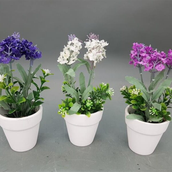 X-1 עציץ פרחים