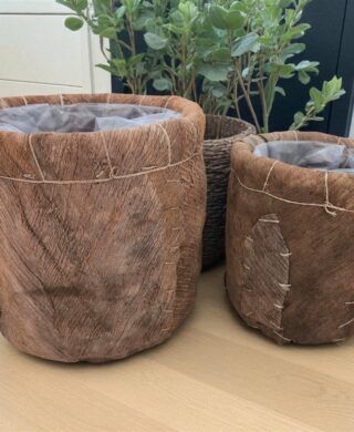 סט *2 בית עציץ עלי דקל 34*33