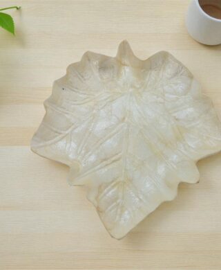 מגש עלה צדפות 27*27 מגש עלה צדפות 27*27