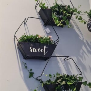 מתקן לקיר עם בית עציץ 12*38*43