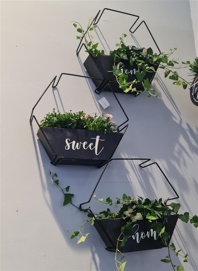 מתקן לקיר עם בית עציץ 12*38*43