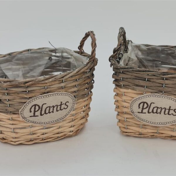 בית עציץ מרובע GREEN HOME 14*18*18 בית עציץ מרובע GREEN HOME 14*18*18