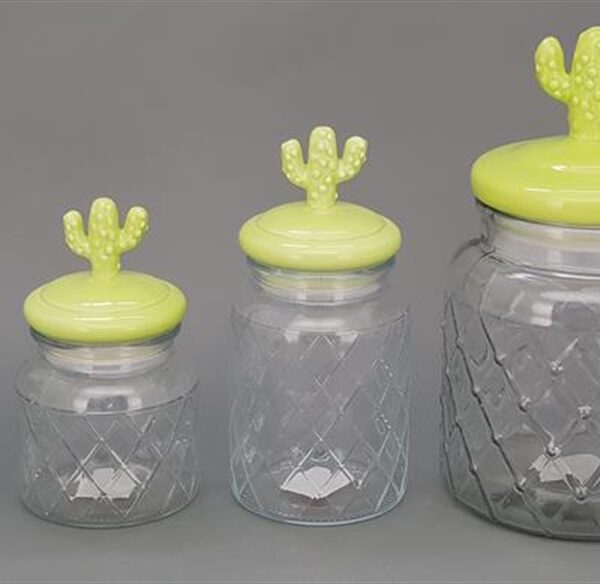 658004907 צנצנת ענקית מכסה קקטוס