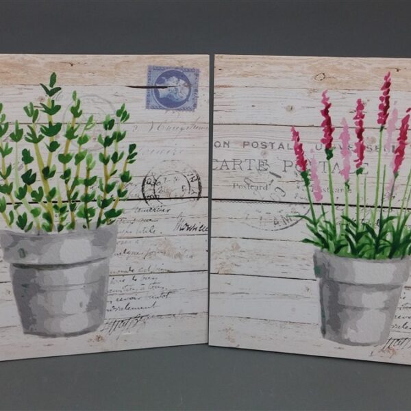 תמונה תבלין 40*40 תמונה תבלין 40*40