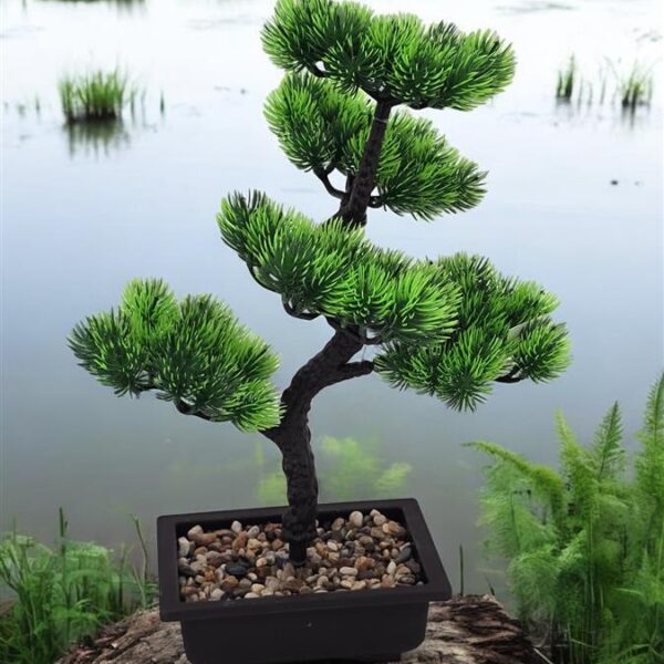 עץ בונזאי+כלי מלבני 40 סמ.