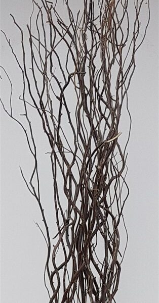 חב' 15 ענפים טבעי 1.8 מטר חב' 15 ענפים טבעי 1.8 מטר