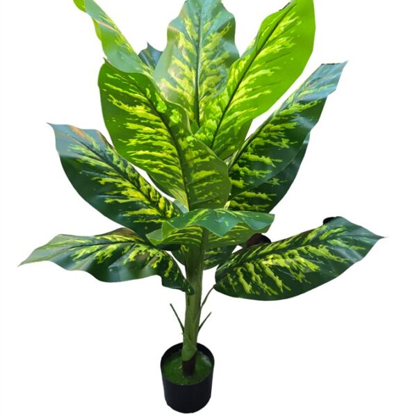 צמח עלים 100 סמ.