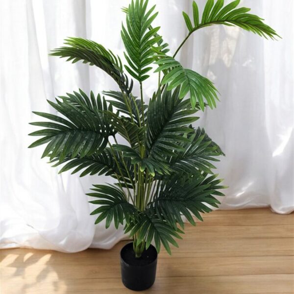 צמח 100 סמ. צמח 100 סמ.