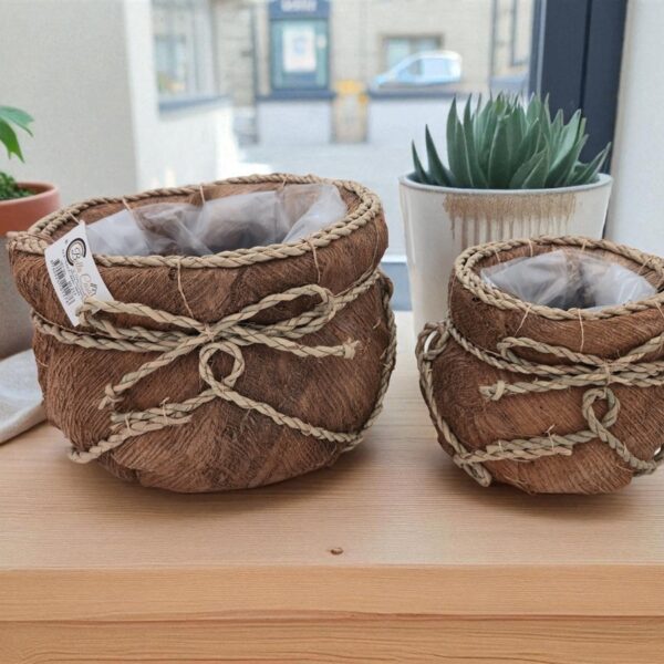 סט *2 בית עציץ עלי דקל+חבל