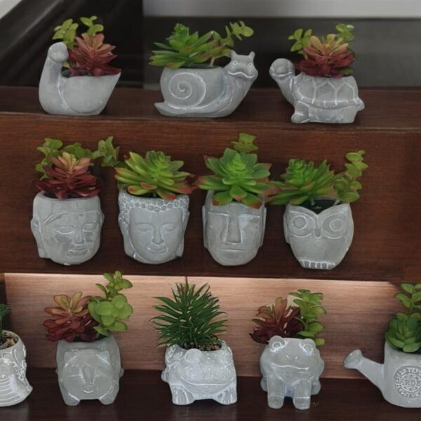 סט *12 סוקולנטים עם עציצים בצורות שונות 7.5*12*16