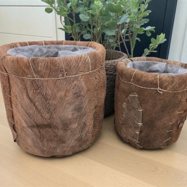 סט *2 בית עציץ עלי דקל 34*33