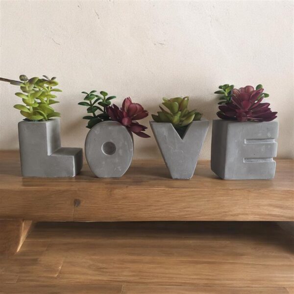 סט 4 LOVE + סוקולנטים