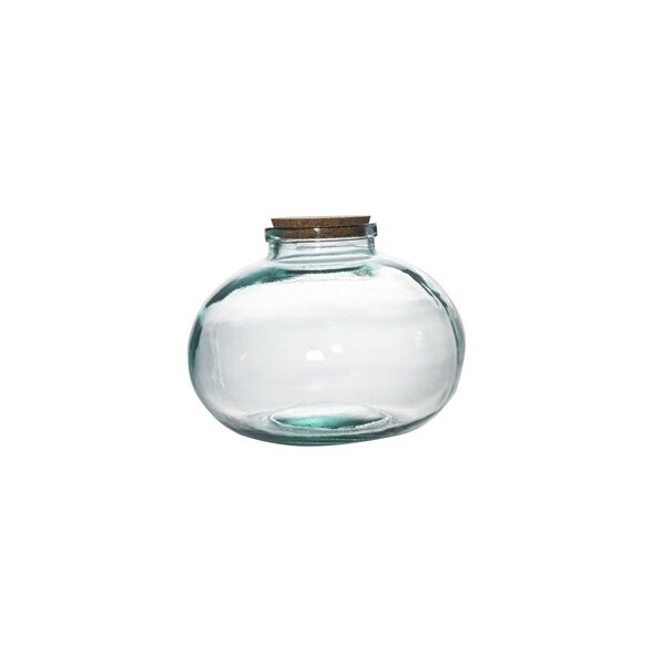 TERRARIUM CALABAZA