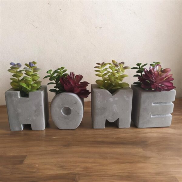 סט 4 HOME + סוקולנטים